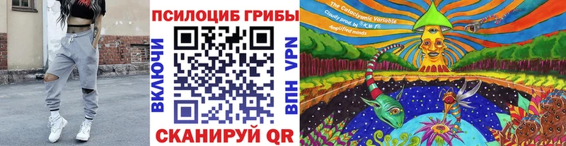 Купить  Лабинск  Псилоцибиновые грибы мухоморы 